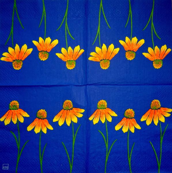 348 Daisies - 3-ply - CS